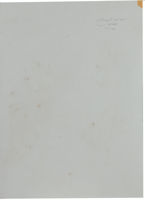 Алферов Сергей Александрович. Птица